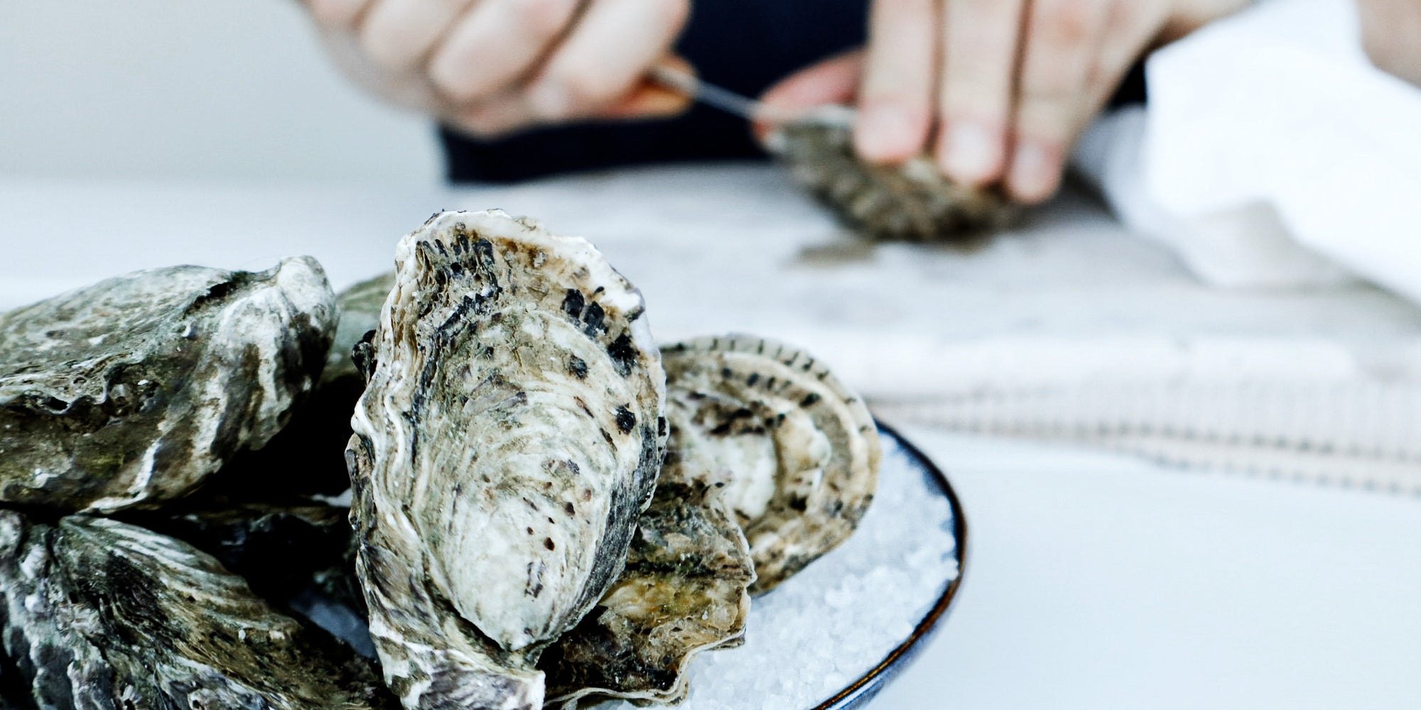 Pacific Oysters from Franklin Harbour | Unshucked Pacific Oyster with Lemon and Rock Salt | Pacific Oyster Co.