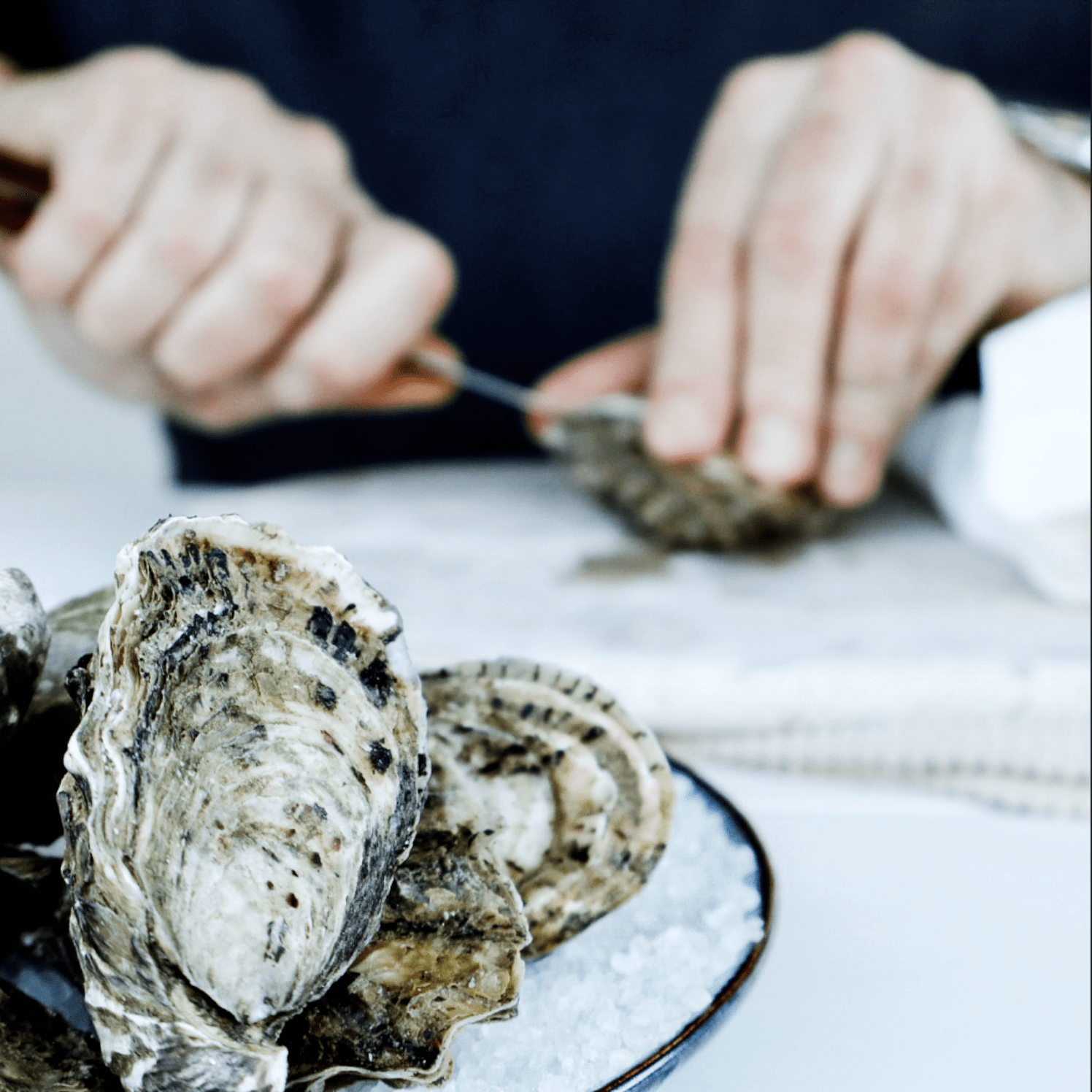 Fresh & Unshucked | Pacific Oyster Co.