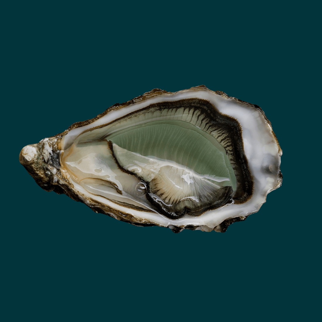 Emerald Oysters - The Vibrant Delicacy - Pacific Oyster Co.