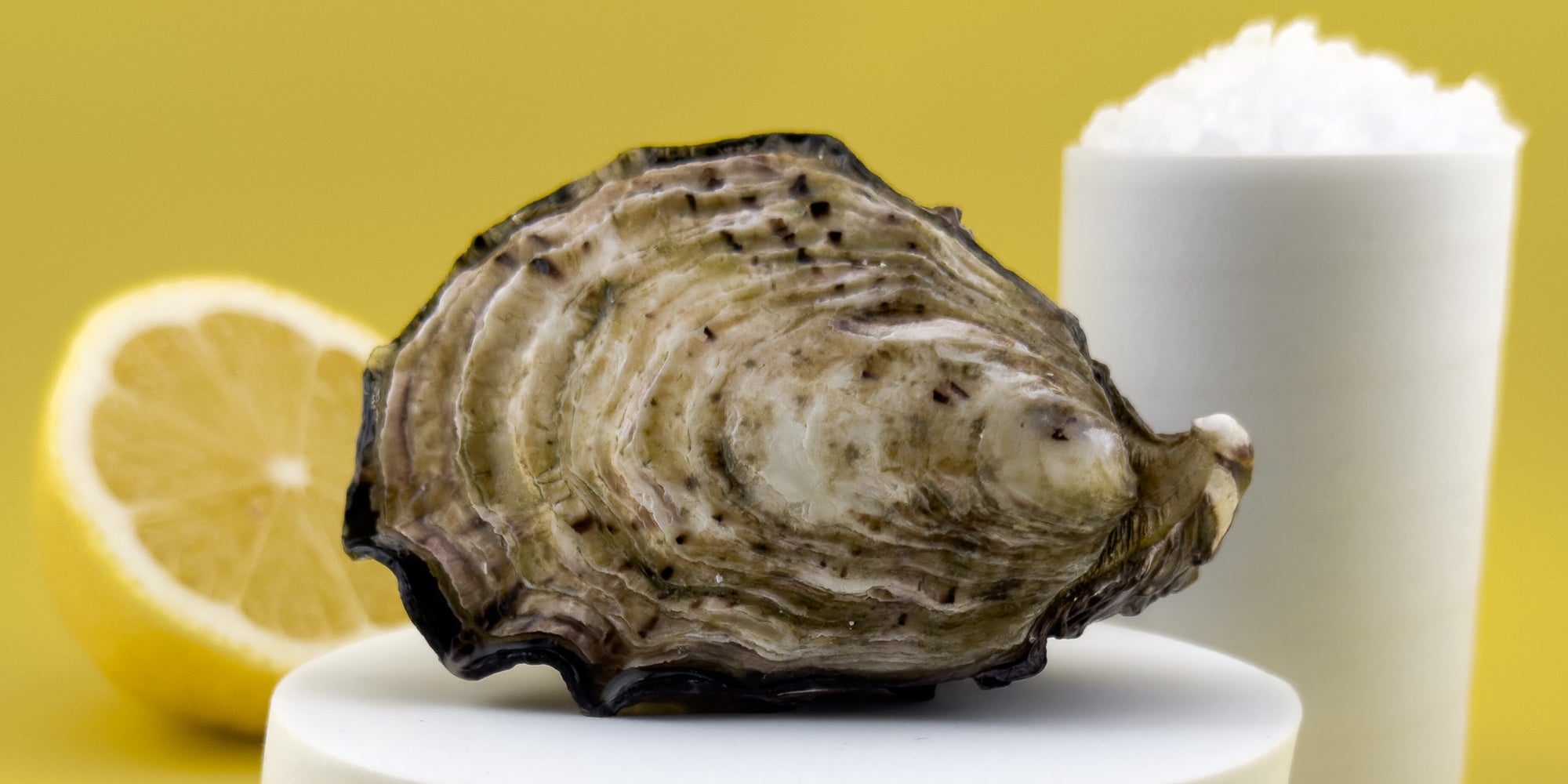 Pacific Oysters from Franklin Harbour | Unshucked Pacific Oyster with Lemon and Rock Salt | Pacific Oyster Co.