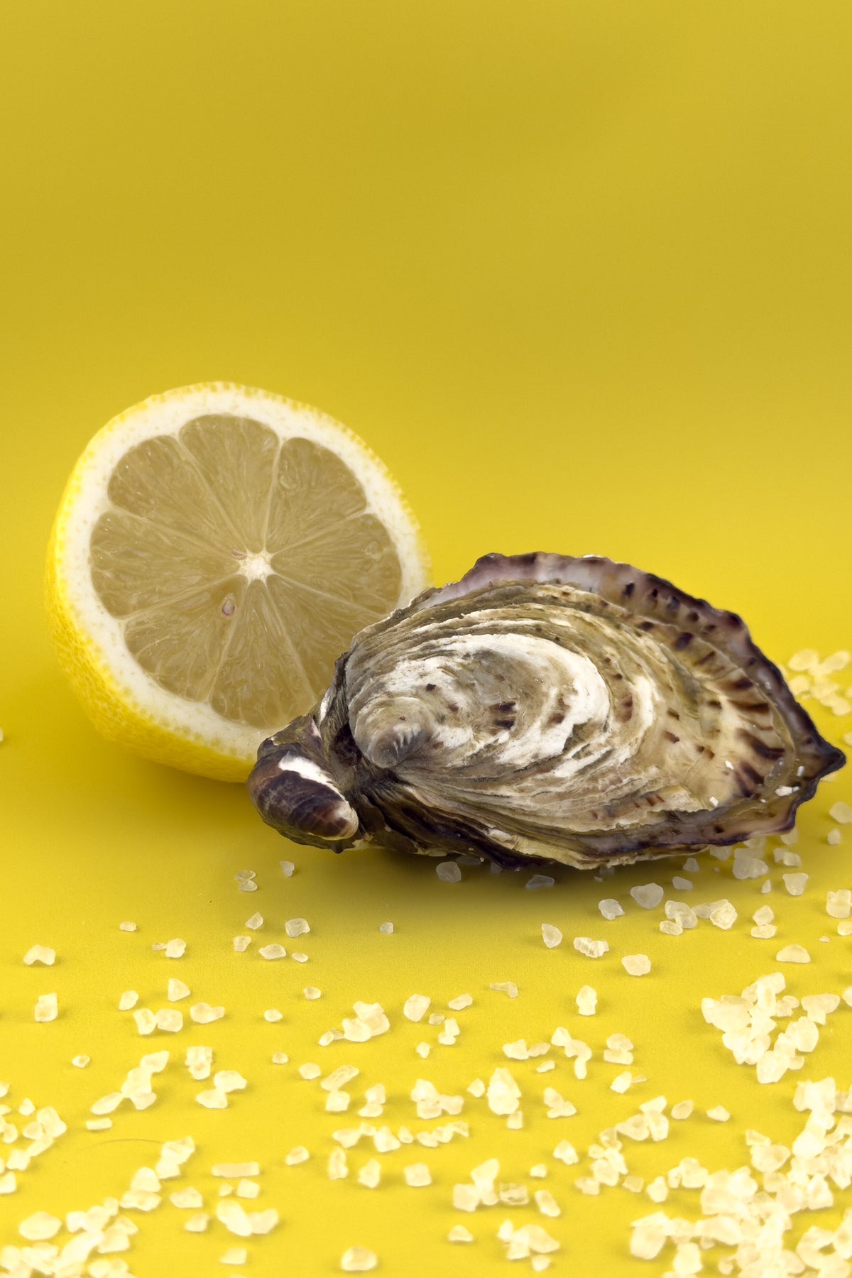 Pacific Oysters from Franklin Harbour | Pacific Oyster with Lemon on Yellow Background | Pacific Oyster Co.