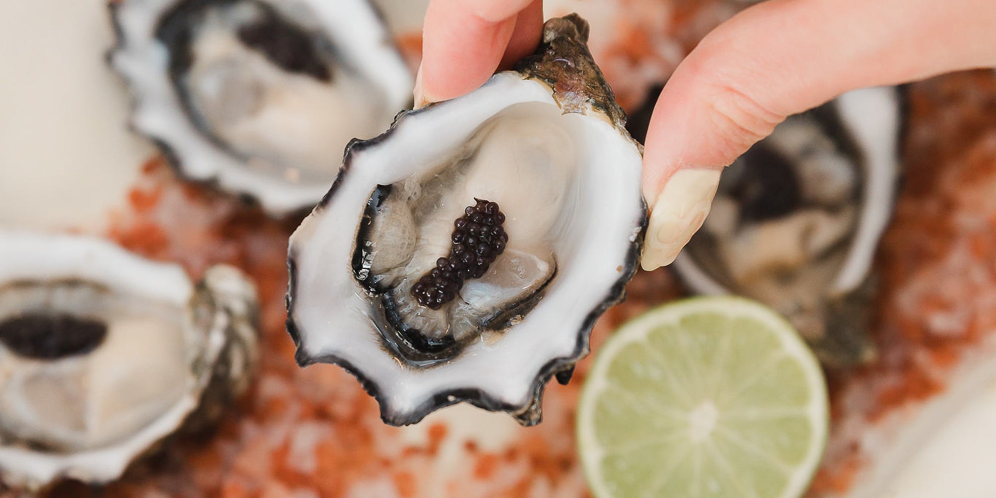 Pacific Oysters from Franklin Harbour | Premium Pacific Oysters with Caviar | Pacific Oyster Co.