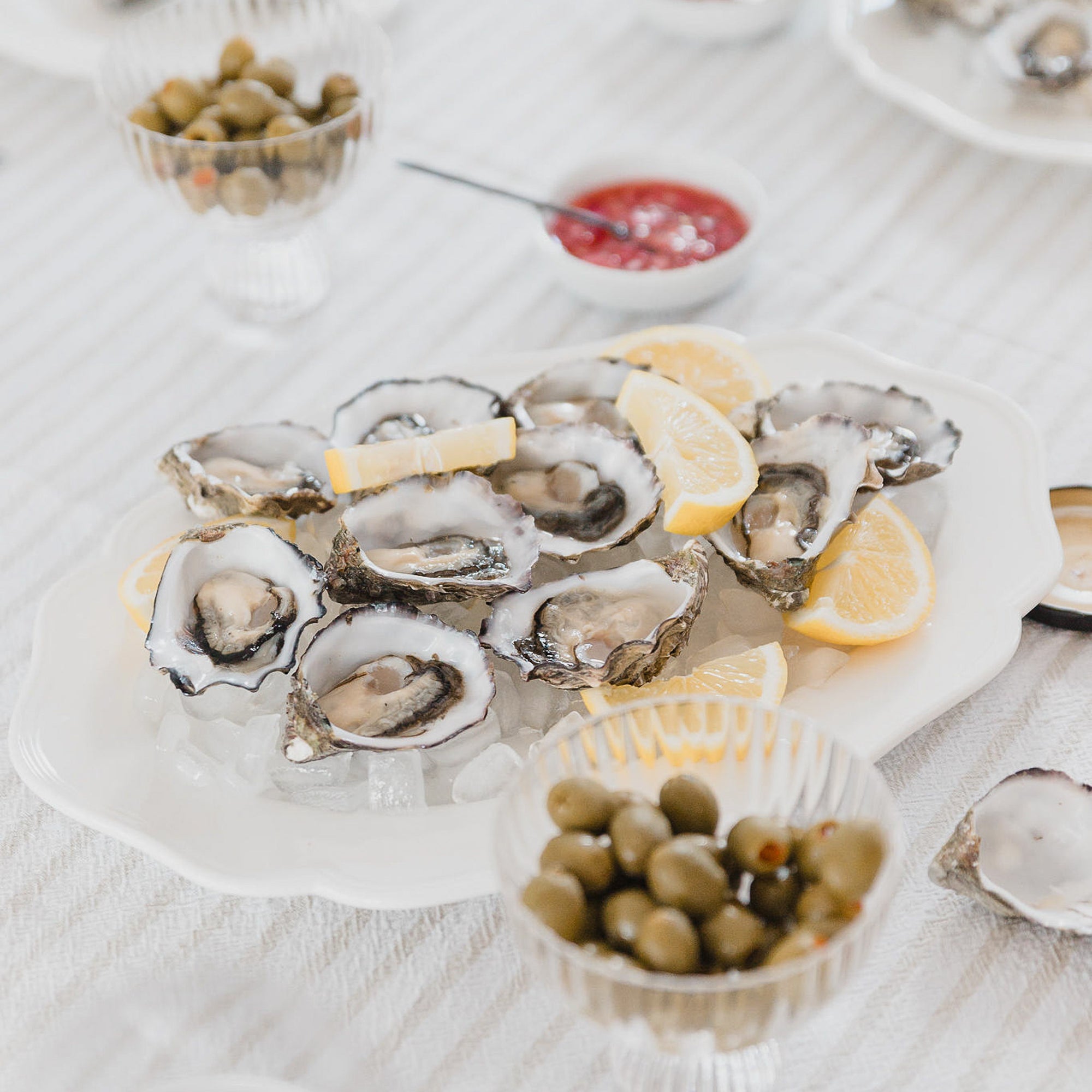 Shells On Ice