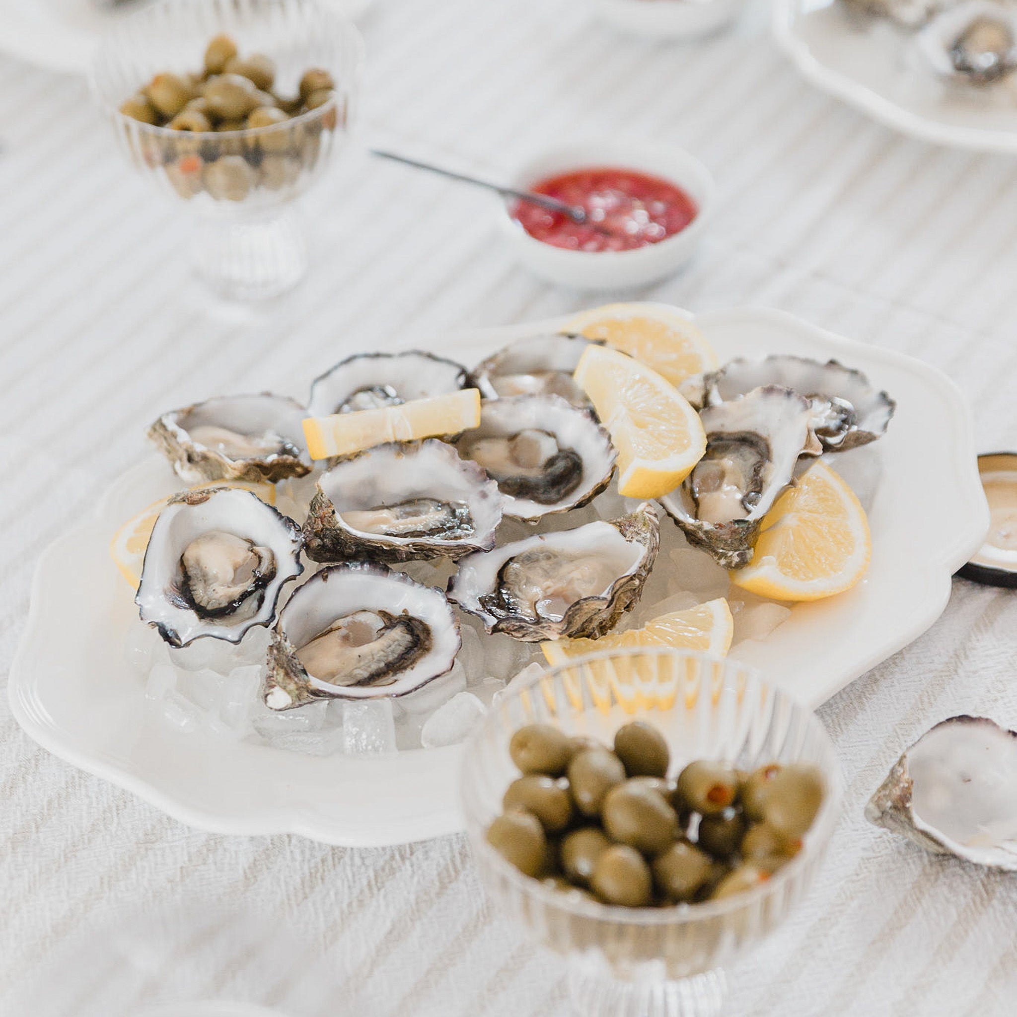 Shells On Ice