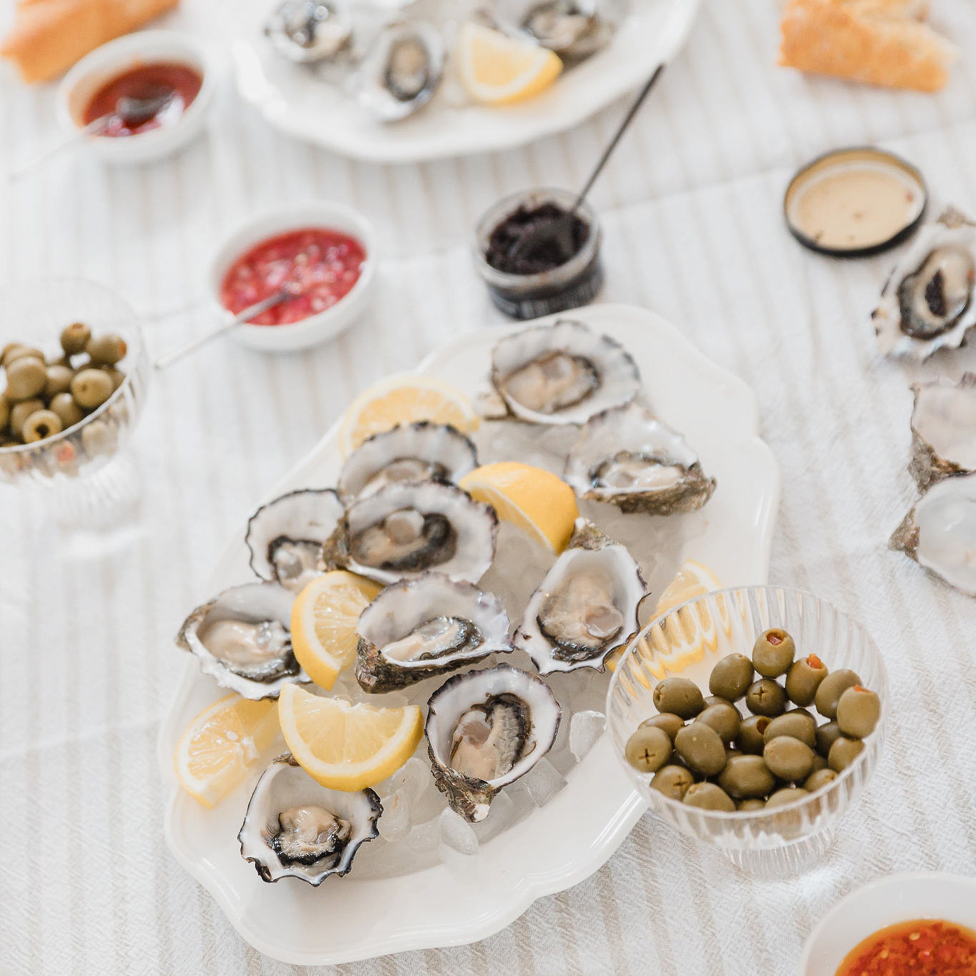 Shells On Ice