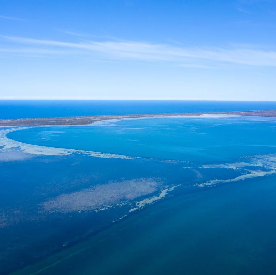 Pacific Oysters from Franklin Harbour | Aerial View Eyre Peninsula | Pacific Oyster Co.